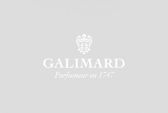 Vignette Galimard
