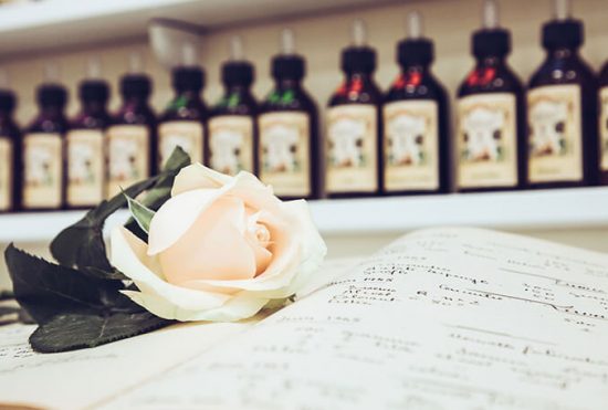 Rose blanche sur composition d'un parfum - Galimard parfumeur à Grasse