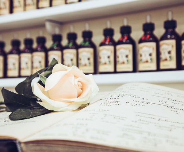 Rose blanche sur composition d'un parfum - Galimard parfumeur à Grasse