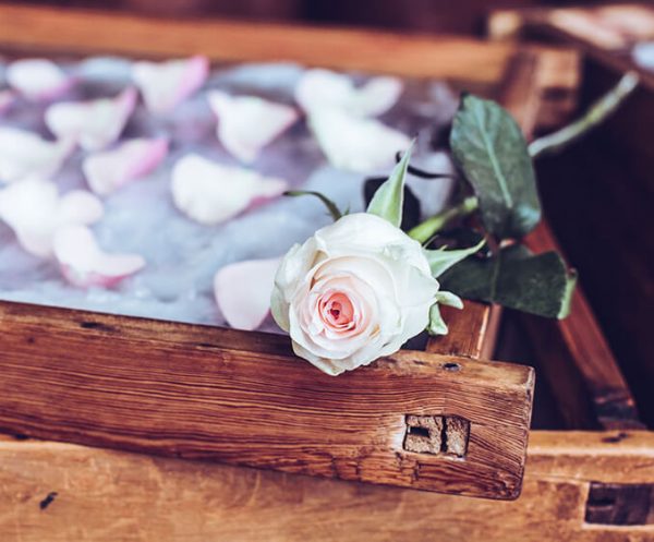 Pétales de rose blanche - Galimard parfumeur à Grasse