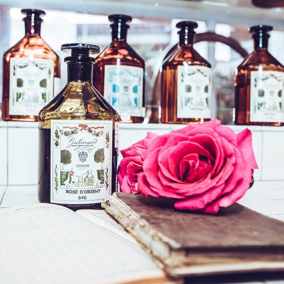 Parfum rose d'orient - Galimard parfumeur à Grasse