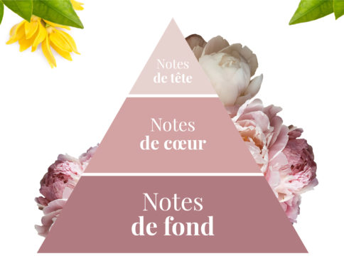 Parfumeur Galimard - pyramide olfactive