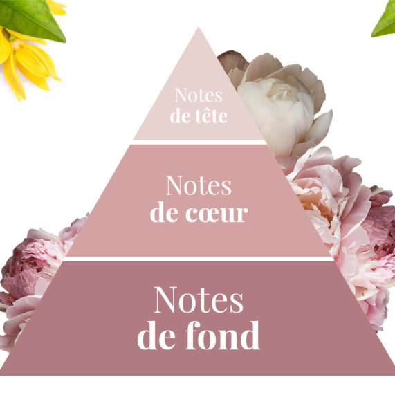 Parfumeur Galimard - pyramide olfactive