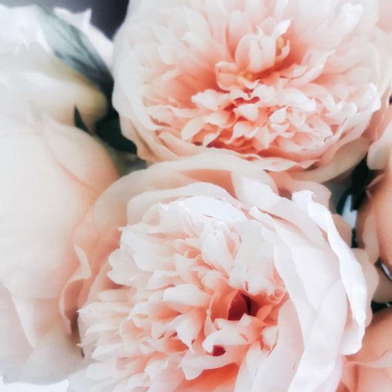 Parfumeur Galimard - pyramide olfactive note de coeur rose