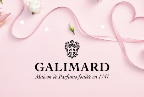 Idées cadeaux de Noël G