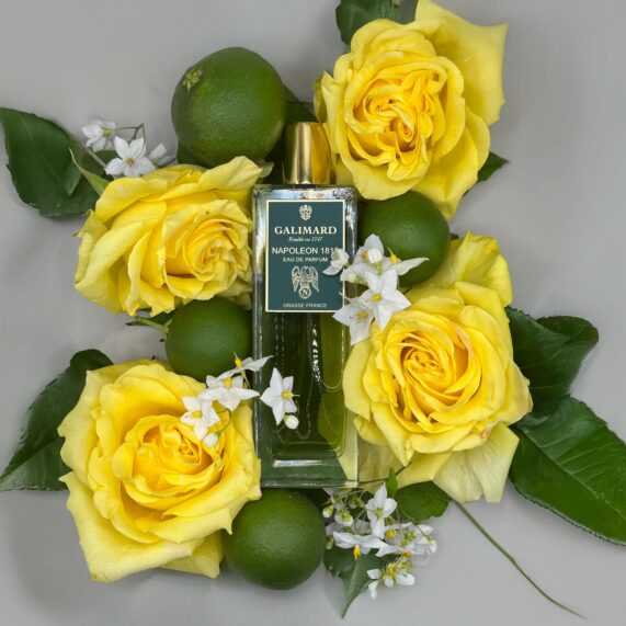 Napoléon 1815 aplat fleurs jaunes (roses) et jasmin