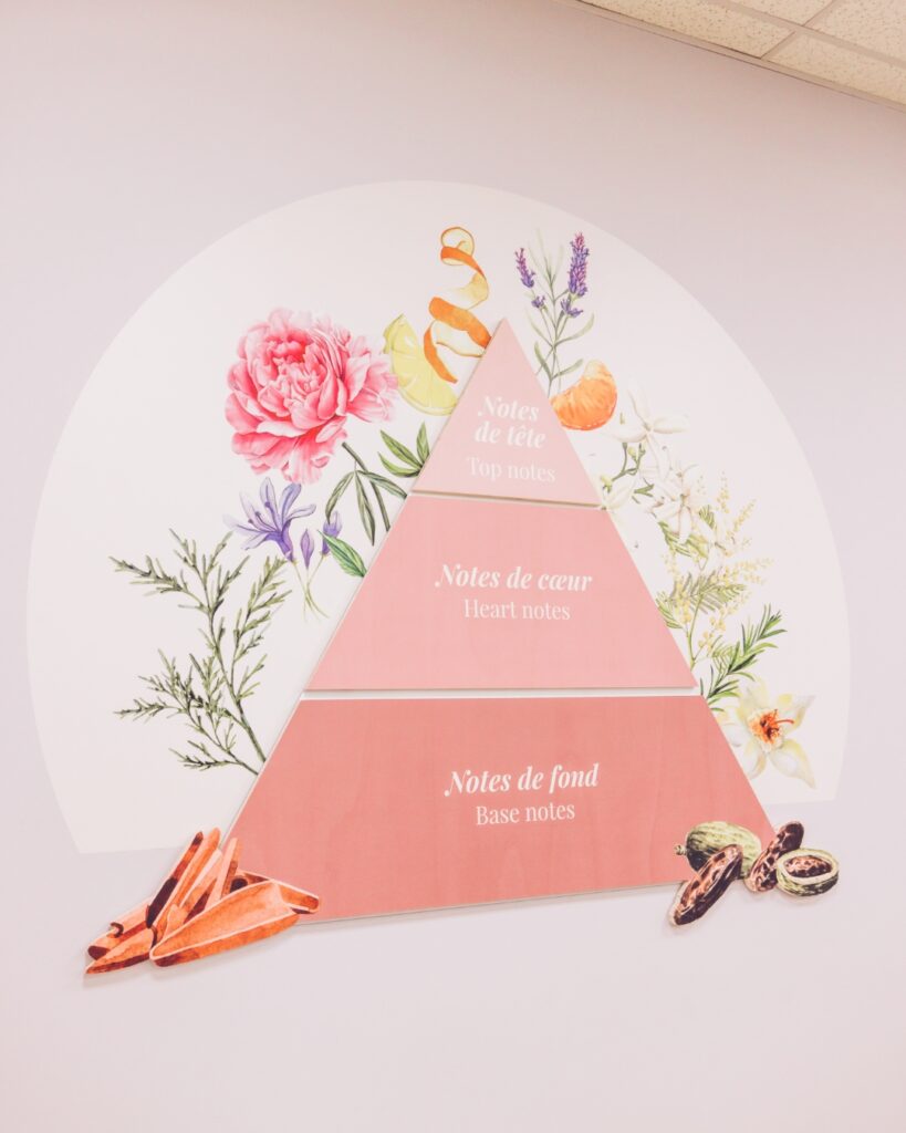 Pyramide olfactive détaillant le rôle des notes de tête, notes de cœur et notes de fond dans la composition d’un parfum.