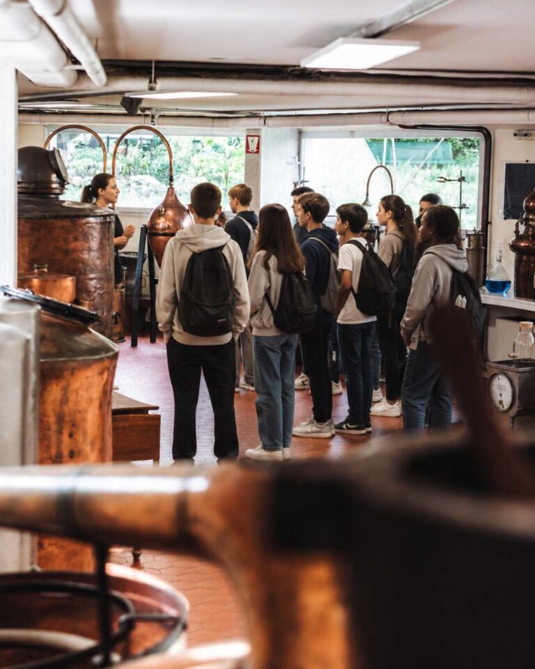 Groupe d’adolescents en visite guidée dans l’Usine-Musée Galimard, découvrant les alambics et les techniques de fabrication du parfum